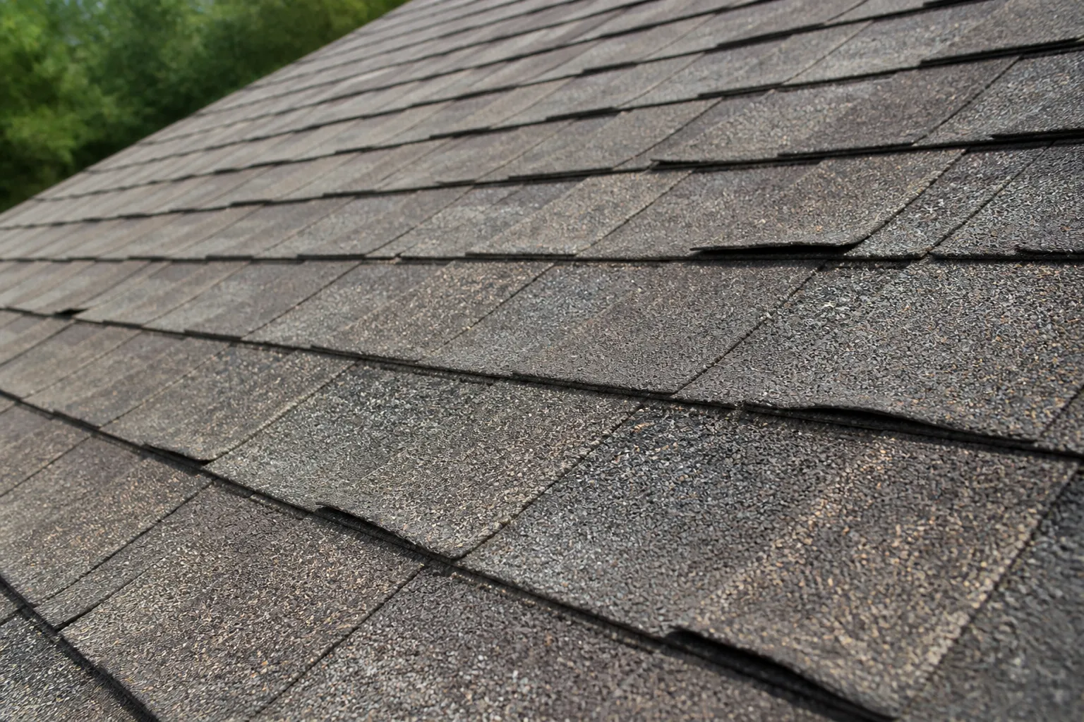 Roof Inspections